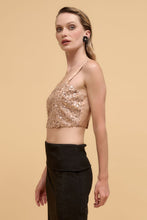 Load image into Gallery viewer, Floral sequins straight neck crop top