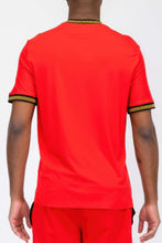 Load image into Gallery viewer, Gold Lion Embroidery T-shirt