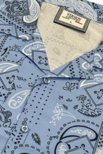 Load image into Gallery viewer, Mens Collared Print Button Down