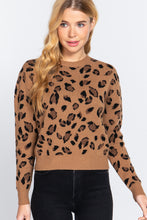 Load image into Gallery viewer, Long Slv Print Jacquard Sweater
